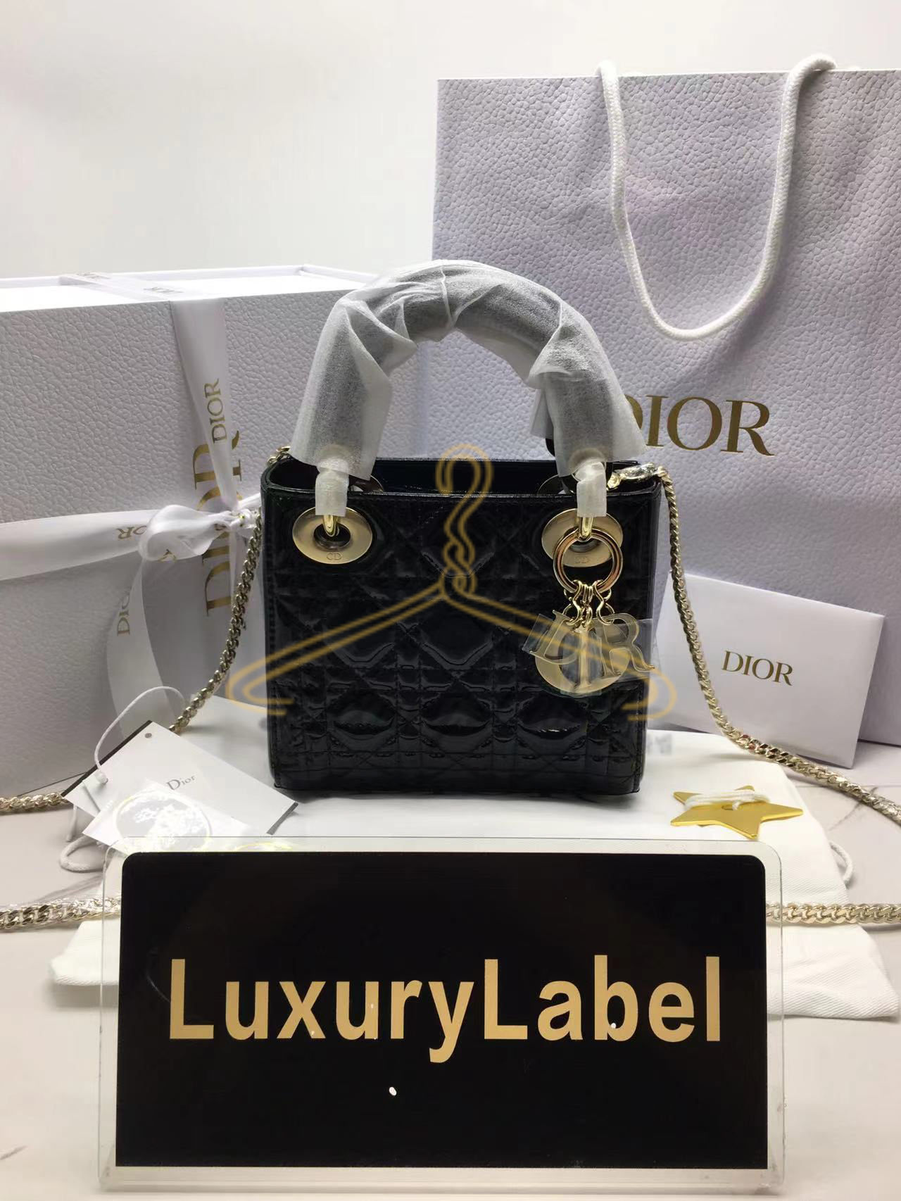 디올 레이디백 미니 (카프스킨)