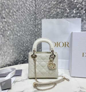 디올 레이디백 17cm