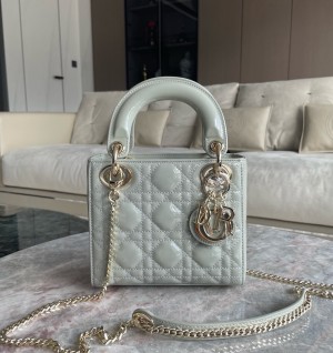 디올 레이디백 17cm