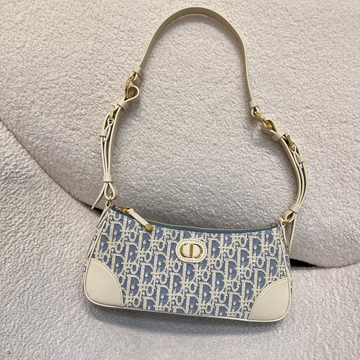 디올 30몽테인 원더 러스트백 [정품급]