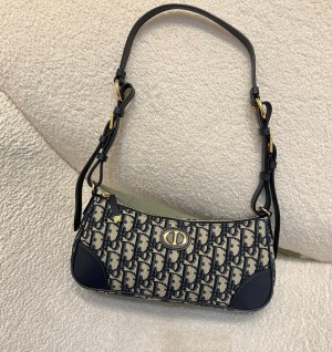 디올 30몽테인 원더 러스트백 [정품급]