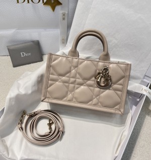 디올 북토트 미니 백 (컬러 파우더베이지)