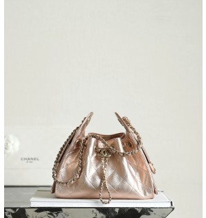 샤넬 25C 크루즈 뉴 호보백 미니 (25백)